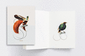Carnet Oiseaux du paradis